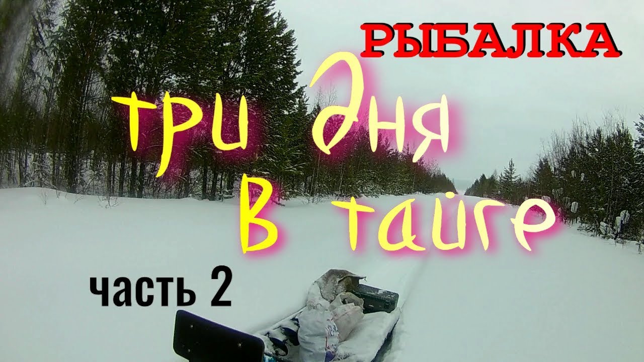 РЫБАЛКА.ТРИ ДНЯ В ТАЙГЕ.(часть2).mp4 смотреть онлайн