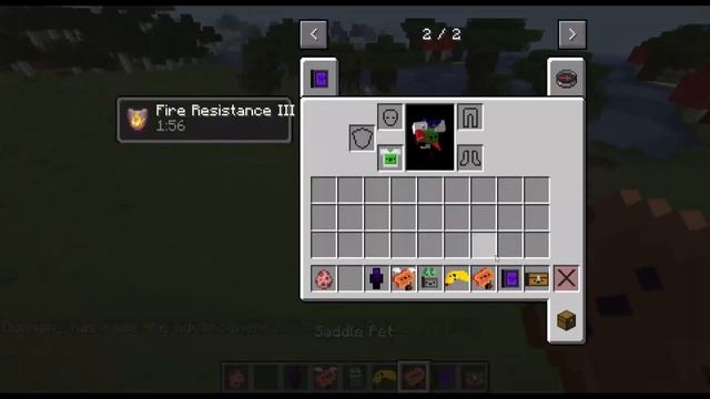 Minecraft Mods : Inventory Pets  [1.16.5]