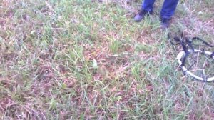 Поиск клада с профессиональным глубинным металлоискателем Rex Land Craft!