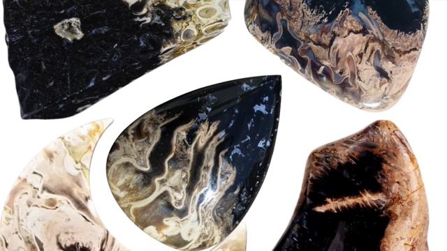 Palm Root; Alchemical Miracle & Potent Earth Medicine смотреть онлайн