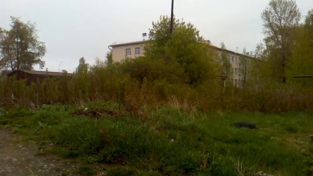 Соловей поет в Петрозаводске. Карелия 2015 смотреть онлайн