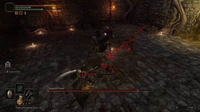 Elden Ring - 52nd Minor Boss - Sanguine Noble смотреть онлайн