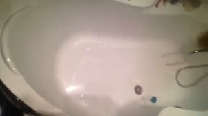 Купаем собаку?! 🤕😱😝