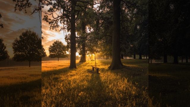 Groovy Yoga Serenity смотреть онлайн
