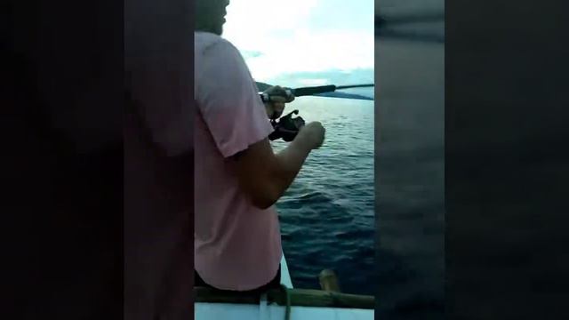 JIG FISHING| CATCHING DOGTOOTH TUNA USING PIONEER ALTITUDE 8000 SV SETUP смотреть онлайн