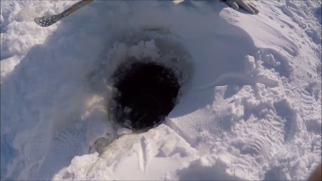 "Зимняя" рыбалка (отдых) с ночлегом, ХМАО, март 2016 смотреть онлайн