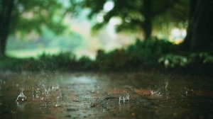 Новая Битва экстрасенсов, 24 сезон, 7 выпуск