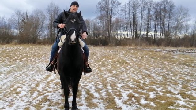 Обучение молодой лошади. Азы верховой езды для чайников! смотреть онлайн