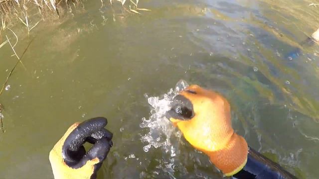 Поиск на пляже с металлоискателем , собираю золото и серебро смотреть онлайн