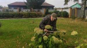 Опора для гортензии. Часть 3 (установка).