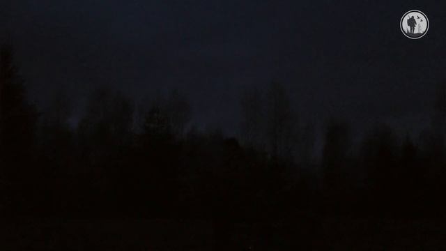 Охота на вальдшнепа | В тайге под дождем | С радугой и тетеревами смотреть онлайн