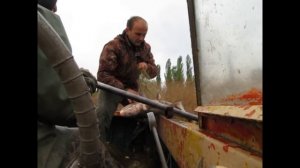 Снимаем сети 110 ячея 200 метров, донка. Толстолоб fishing with nets.