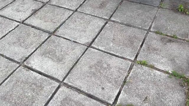 Сорняки в брусчатке. Я их победил смотреть онлайн