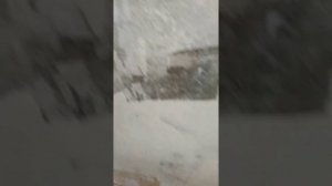 Штукатурка! Снимаем штукатурку со стен!