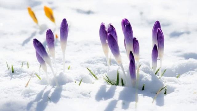 ОТЧЕ НАШ смотреть онлайн