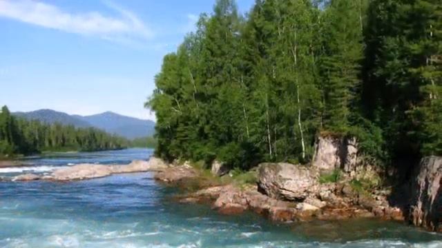 ДВЕ БЕРЁЗКИ .Душевная песня. смотреть онлайн