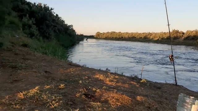 АРНАСАЙ РАБОТАЕТ.У НАС КЛЮЁТ. Рыбалка в Узбекистане 2022 год смотреть онлайн