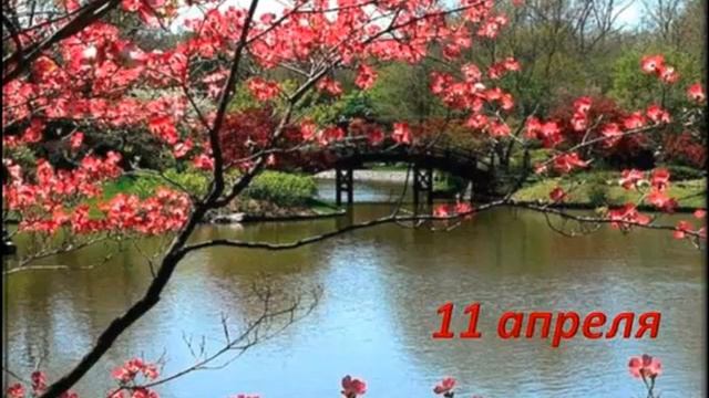 Медитации вдохновения на каждый день, 11 апреля смотреть онлайн