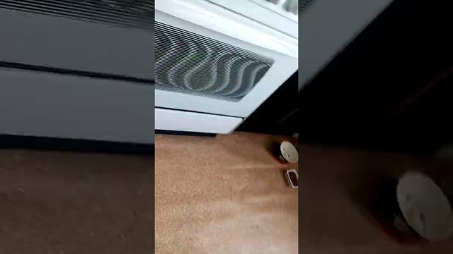 Как ловить попугая смотреть онлайн