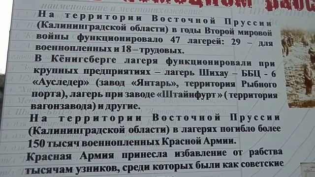 прогулка на 5 Форт... смотреть онлайн