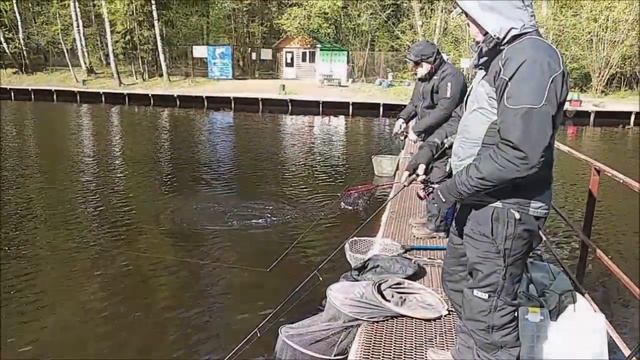 Непростая, но интересная рыбалка на спорт-зоне. Клёвое место, Лосиный остров. смотреть онлайн