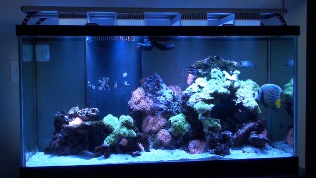 Aqua Illumination Color Adjustment Demo смотреть онлайн
