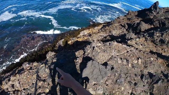 КАМЕННЫЙ ОКУНЬ И ЗУБАСТЫЙ ТЕРПУГ. ТИХИЙ ОКЕАН США. РЕЦЕПТ МОРСКОГО ОКУНЯ. КИТ смотреть онлайн