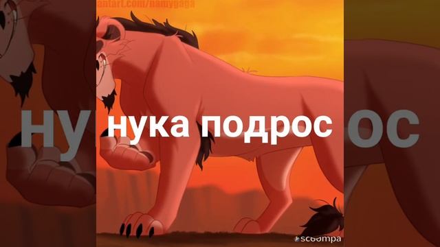 История Нуки заказ