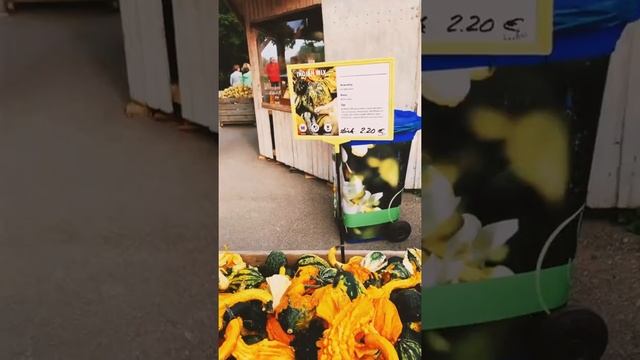 Как украсить дом к Хэллоуину? Путешествие на тыквенную ферму и Хэллоуин в Германии смотреть онлайн