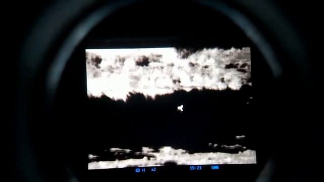 Утка в луже на поле в тепловизор ночью. смотреть онлайн