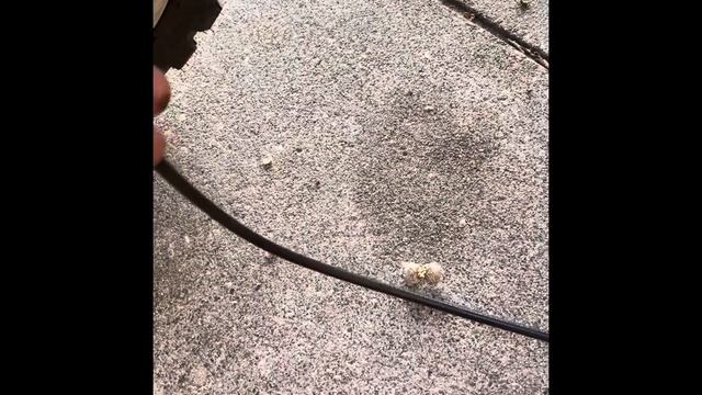 Speedometer Replacement BMW R1100GS