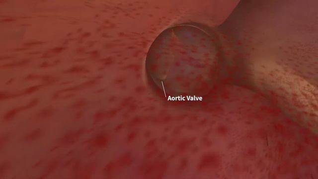 InO CV Lesson 3b: Virtual Reality Heart смотреть онлайн
