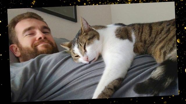 Приютили кота на свою голову: попугай взбесился, жена беременная, сосед не может как Ален Делон! смотреть онлайн