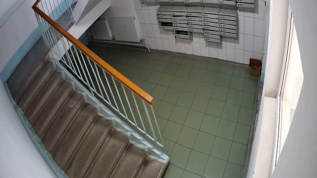 3 под лестница 2022.02.25 04 00 10 00 смотреть онлайн