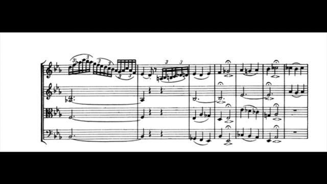 F.J.Haydn String Quartet B-flat major, Op. 76 N. 4 version flute & string trio. Quartetto Modus смотреть онлайн