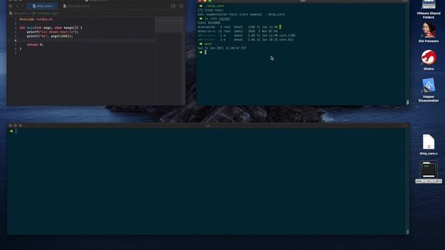 Analysing Core Dumps (Part 1) смотреть онлайн