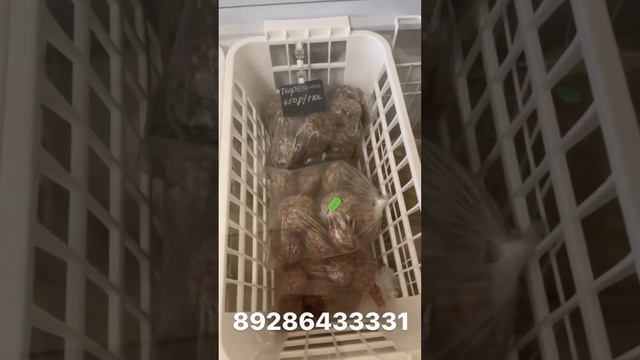 СЕГОДНЯ ВСЕ ?СПРАШИВАЮТ ПРО АНЗОРА ? смотреть онлайн