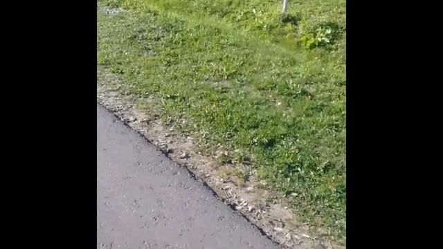 ааа ты фотоаппарат