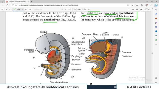 Langman Chapter#15 | Embryology of Digestive System | Dr Asif Lectures смотреть онлайн