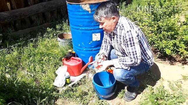 Битоксибациллин - защита от ягодных вредителей смотреть онлайн