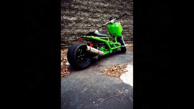 Chuckus Life Video Maddog Icebear Not A Honda Ruckus