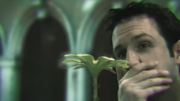 SECTOR INFINITY - Eclipse Reason