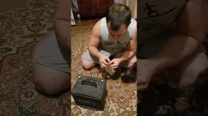 Обрезка, без линии обреза. Гибкая самоклеющаяся светодиодная ДХО лента с бегущими поворотниками.