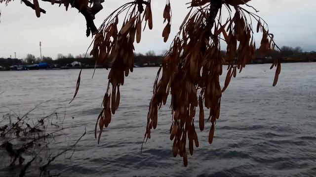 VID 20211120 153917 Повесть о первой любви (Н. Рубцов)...Павел Васильев Лахтинский смотреть онлайн