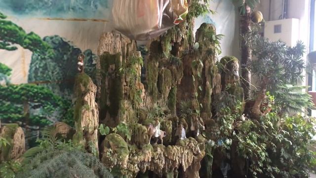 Зелёный уголок / Мох на камнях / Цветочные композиции / Комнатные растения смотреть онлайн