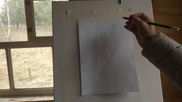 Урок 7 " Как нарисовать дятла" смотреть онлайн