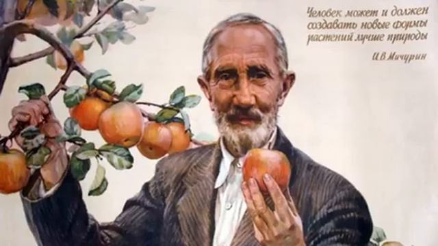 Не берите на дачу ошибки городских газонов. (Садовод Андрей Туманов) смотреть онлайн