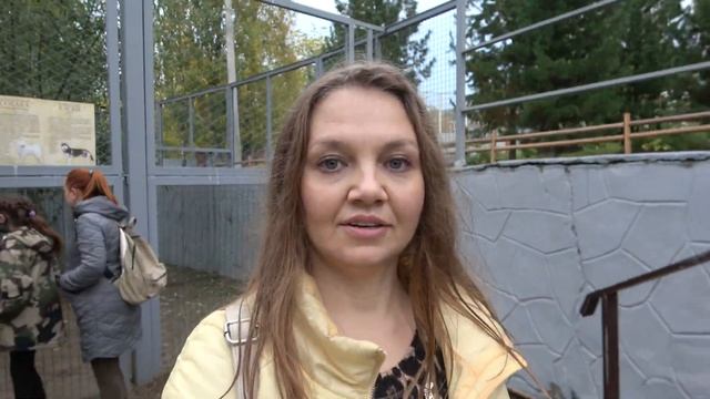 ? Мишку жалко! Жирафы и другие африканцы. ЗООПАРК РОЕВ РУЧЕЙ | Красноярск. Эко Экскурсия #7 смотреть онлайн