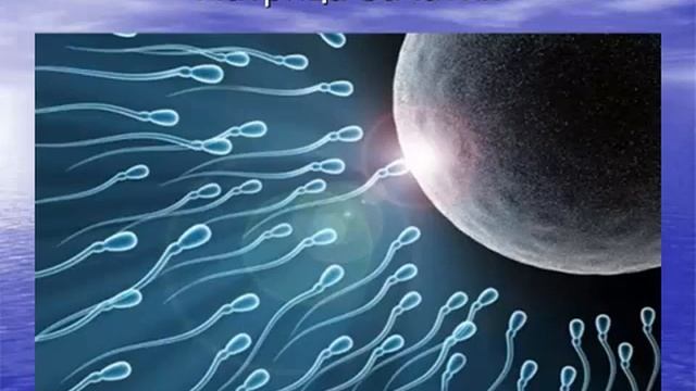 Зачатие - надо ли готовиться? смотреть онлайн