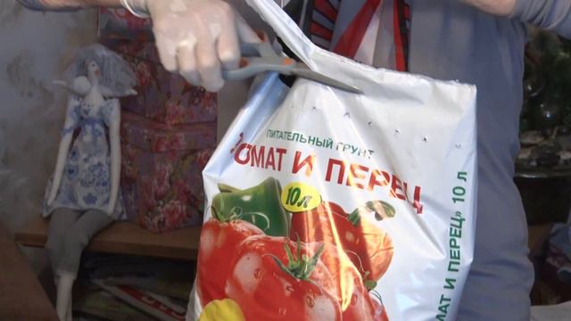 Что вы еще не знаете о рассаде томатов. смотреть онлайн